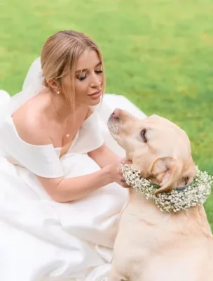 Role Of Pets In Wedding Ceremony