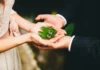 Sustainable Destination Weddings - Wedding Affair
