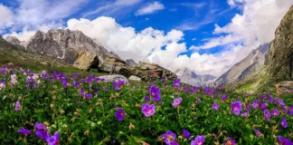 Celebrate Love in DevBhoomi: Uttarakhand Destination Weddings In Uttarakhand - Wedding Affair