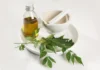 Neem Magic: Unveiling The Beauty Benefits For Bridal Glow Beauty Benefits Of Neem For Bridal Glow - Wedding Affair