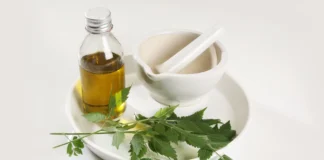 Neem Magic: Unveiling The Beauty Benefits For Bridal Glow Beauty Benefits Of Neem For Bridal Glow - Wedding Affair