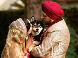 Pawsitively Adorable: Indian Wedding Pets Fashion Takes Center Stage Indian Wedding Pets Fashion - Wedding Affair