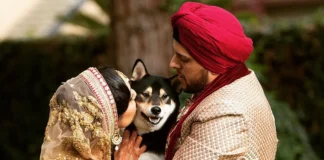 Pawsitively Adorable: Indian Wedding Pets Fashion Takes Center Stage Indian Wedding Pets Fashion - Wedding Affair