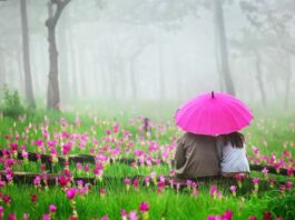 Top 3 North East Indian Honeymoon Destination