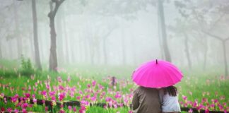 Top 3 North East Indian Honeymoon Destination Top 3 North East Indian Honeymoon Destination