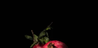 Fruit Fiesta with Shiv Fruit Mart Fruit Fiesta with Shiv Fruit Mart