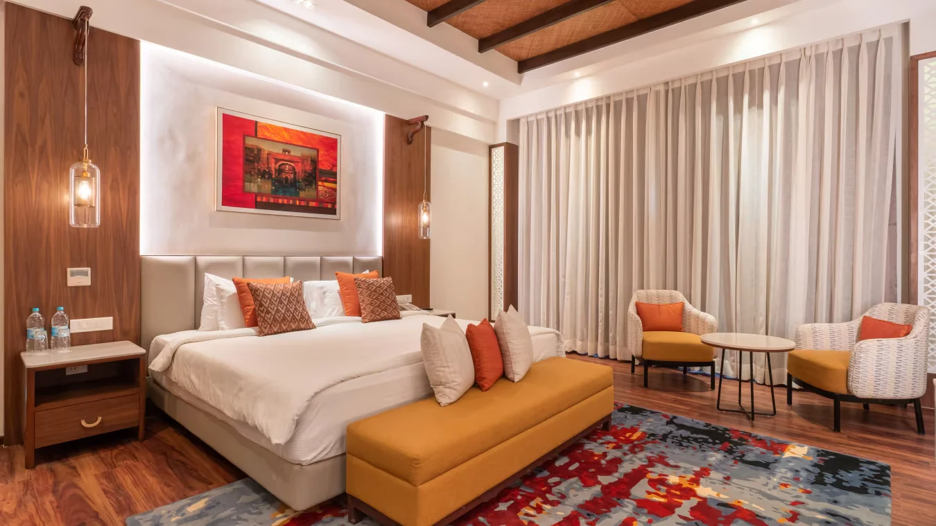 grand suites at anant hotel udaipur