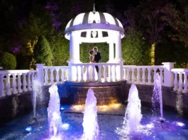 Top 8 Wedding Colour Palettes for 2024 wedding colour palette