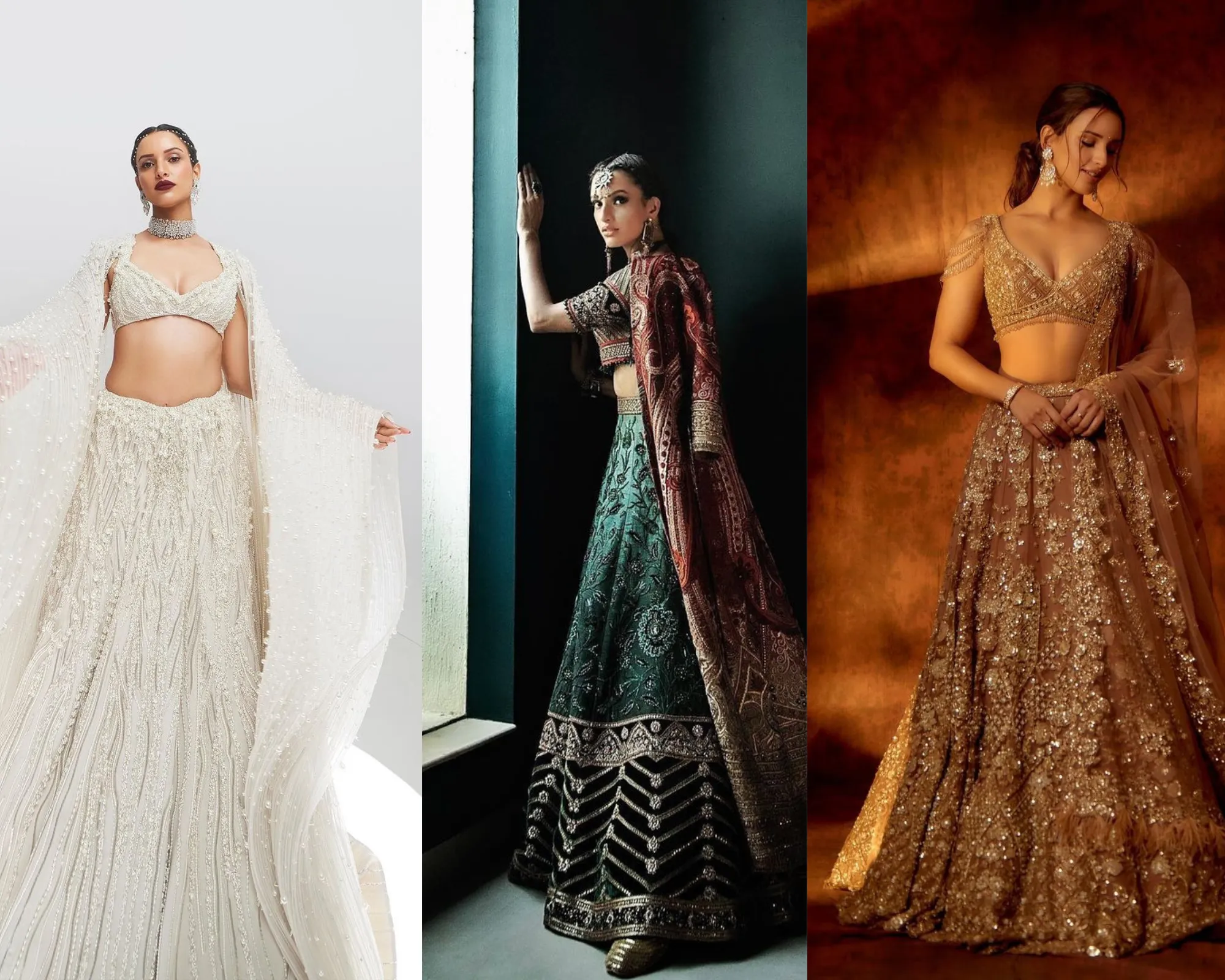 tripti dimri in lehenga