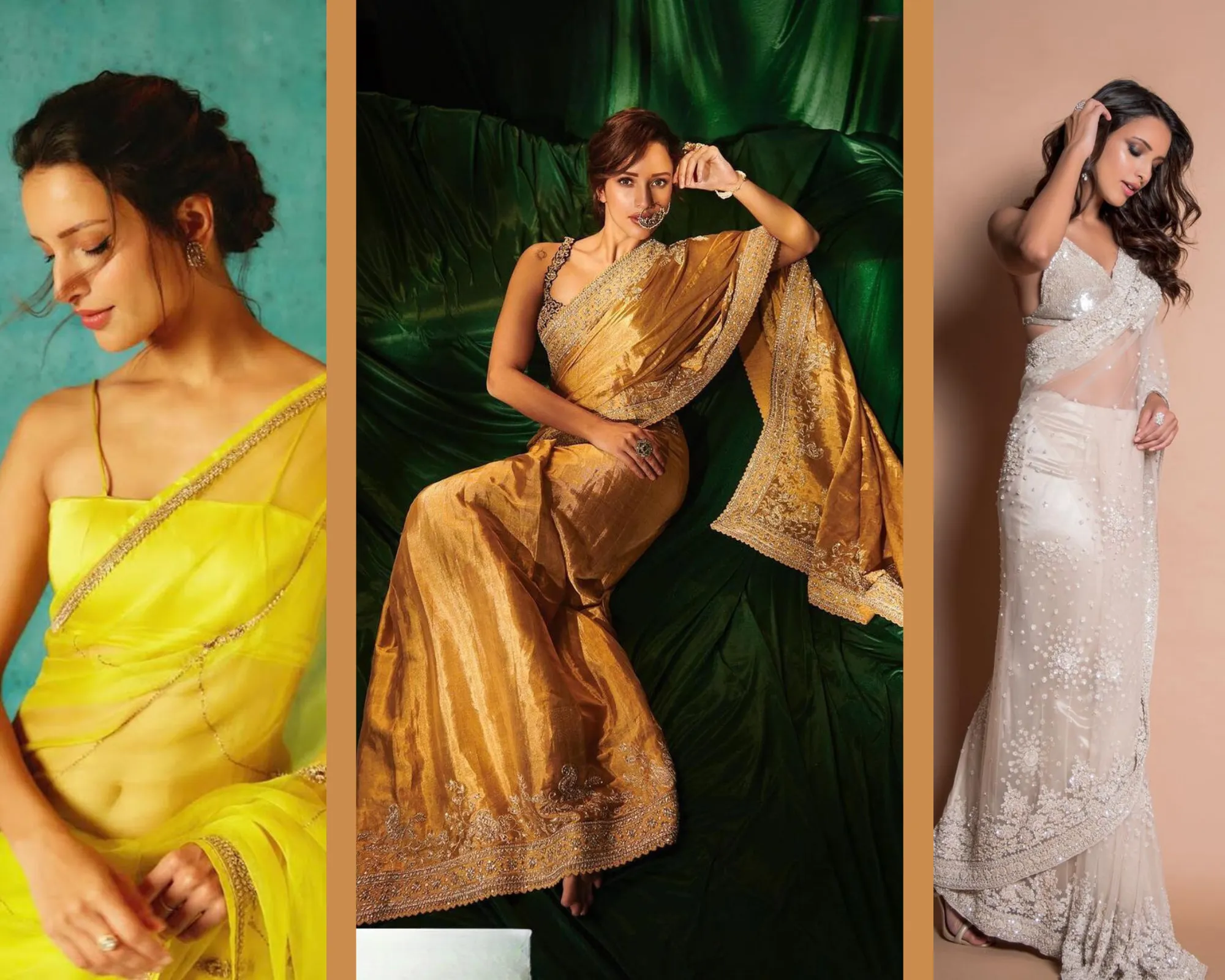 tripti dimri in sarees