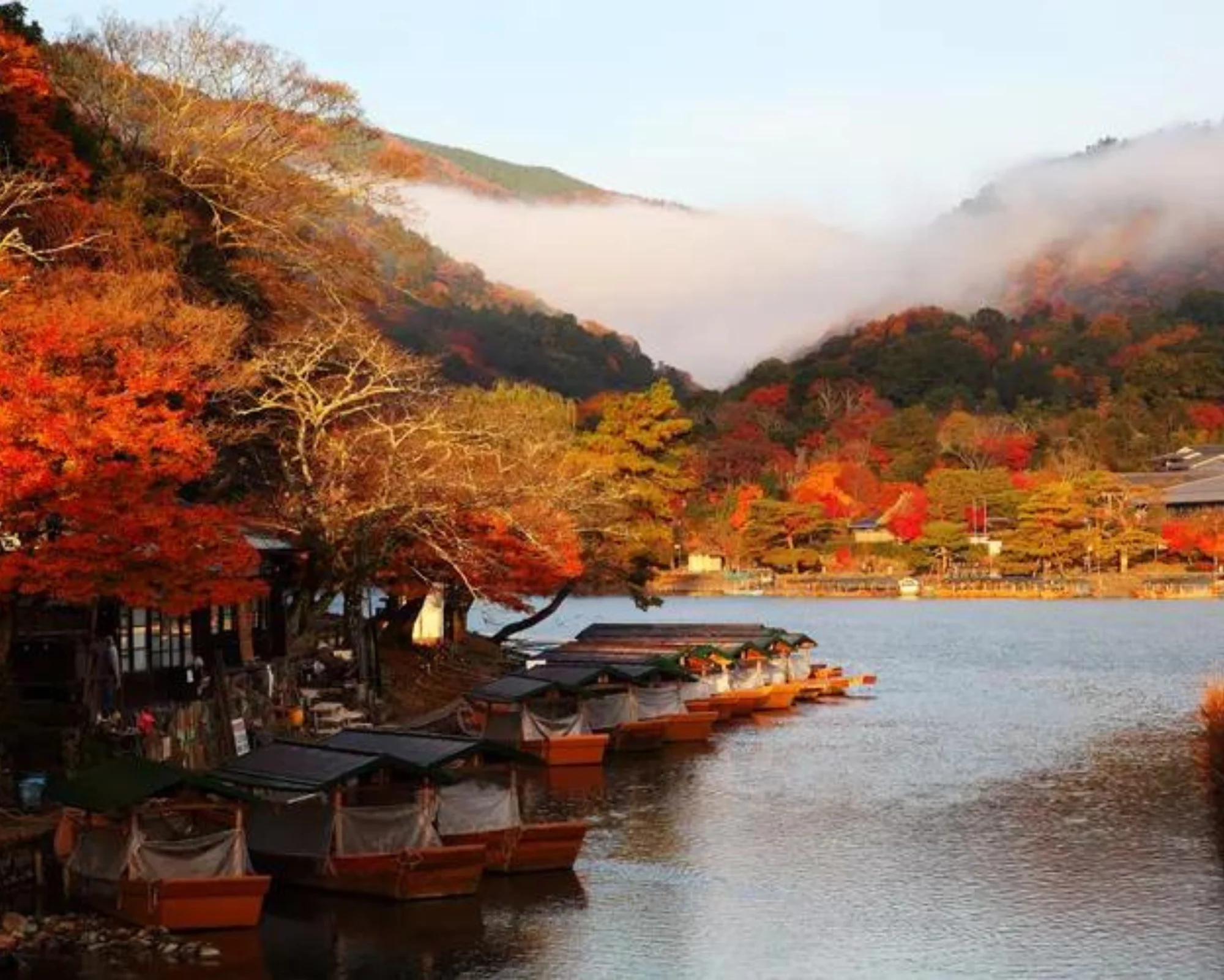 Beautiful river and forest in Japan