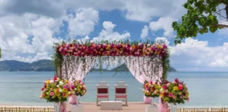 Beach Wedding Paradise: How to Plan a Beach Wedding how to plan a beach wedding