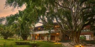 Say Yes to Forever at Angsana Oasis Spa & Resort, Bangalore angsana oasis spa & resort