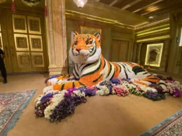 Paw-sitively Perfect: Animal-Inspired Wedding Decor Ideas wedding decor