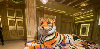 Paw-sitively Perfect: Animal-Inspired Wedding Decor Ideas wedding decor