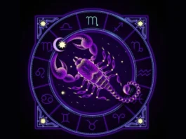 Decoding the Love Language of a Scorpio This Scorpio Season! scorpio season