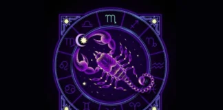 Decoding the Love Language of a Scorpio This Scorpio Season! scorpio season