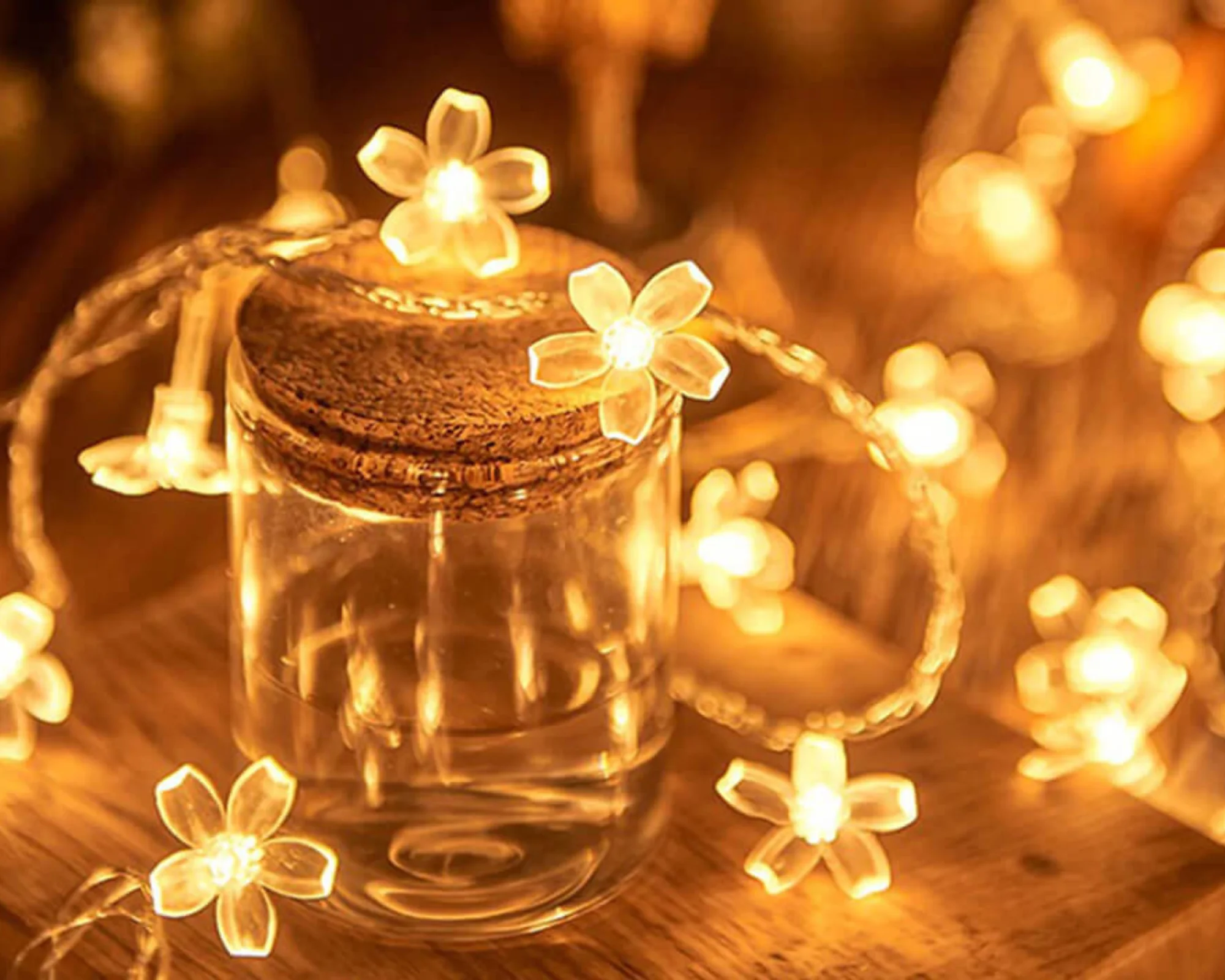 Shining-Fairy-Lights Decoration