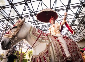 50,000 Weddings on Dev Uthani Ekadashi, November 12 in Delhi? Dev Uhani Ekadashi