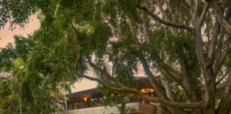 Say Your ‘I Do’s’ at Angsana Oasis Spa & Resort, Bangalore! Angsana Oasis Spa & Resort