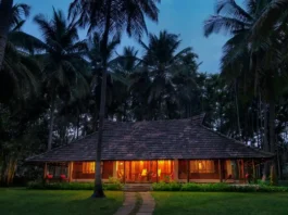 Say Yes to Forever at Big Banyan Vineyard & Resort! Big Banyan Vineyard & Resort