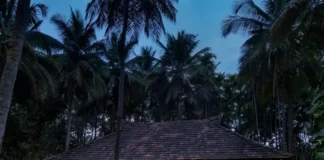 Say Yes to Forever at Big Banyan Vineyard & Resort! Big Banyan Vineyard & Resort