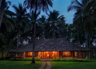 Say Yes to Forever at Big Banyan Vineyard & Resort! Big Banyan Vineyard & Resort