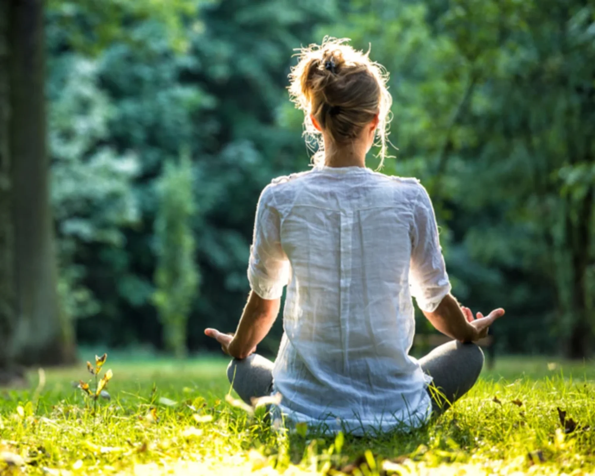 Mindful Practices