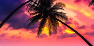 5 Best Honeymoon Destinations for January! best honeymoon