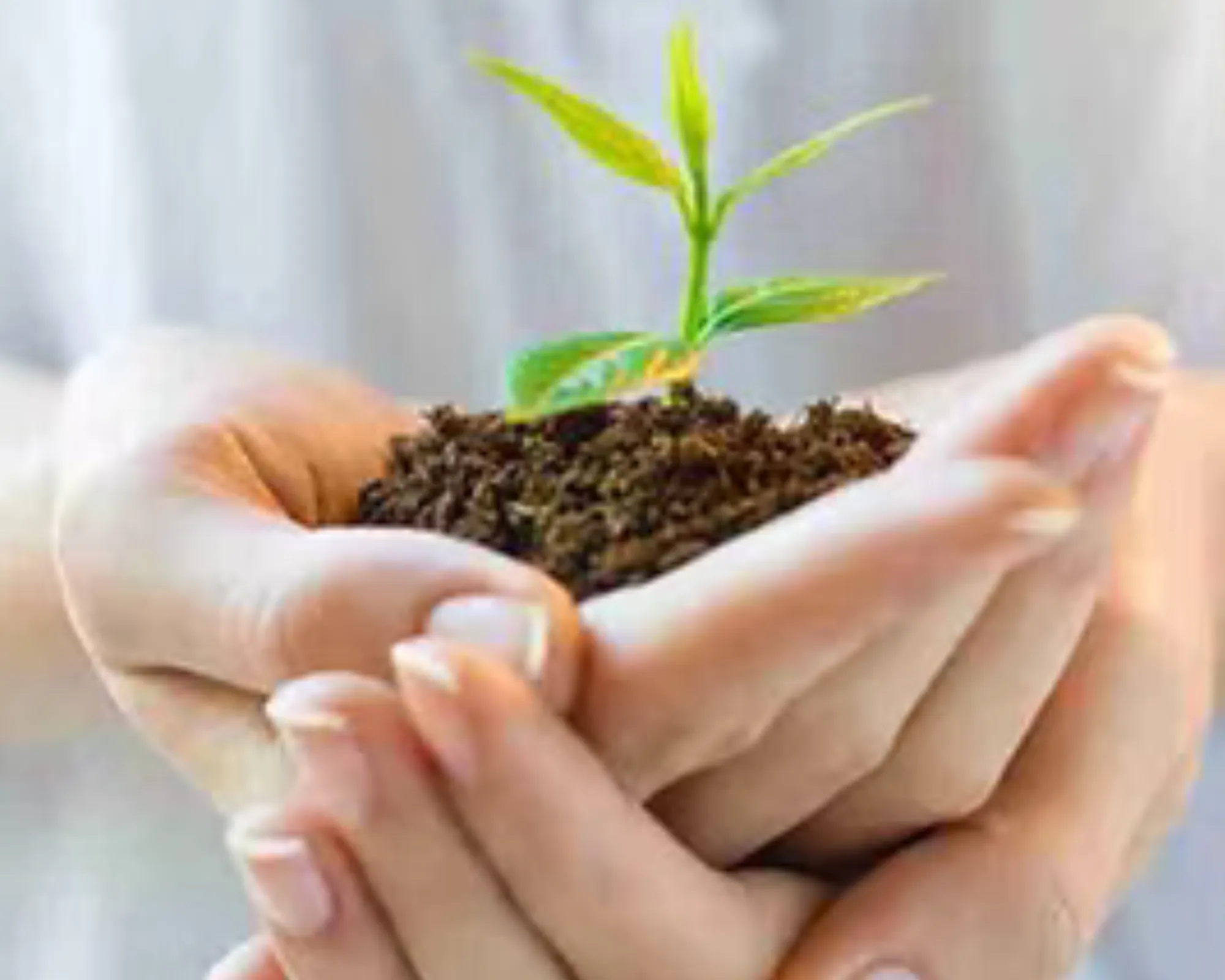 sustainability