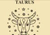 Taurus in Love: What to Expect in a Relationship!