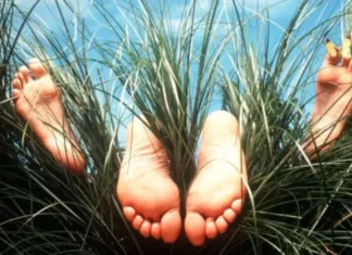 From Pools to Backyard, Outdoor Sex Is Still Hot This Summer Outdoor sex