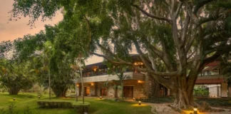 Say Yes to Forever at Angsana Oasis Spa & Resort, Bangalore! Angsana Oasis Spa & Resort