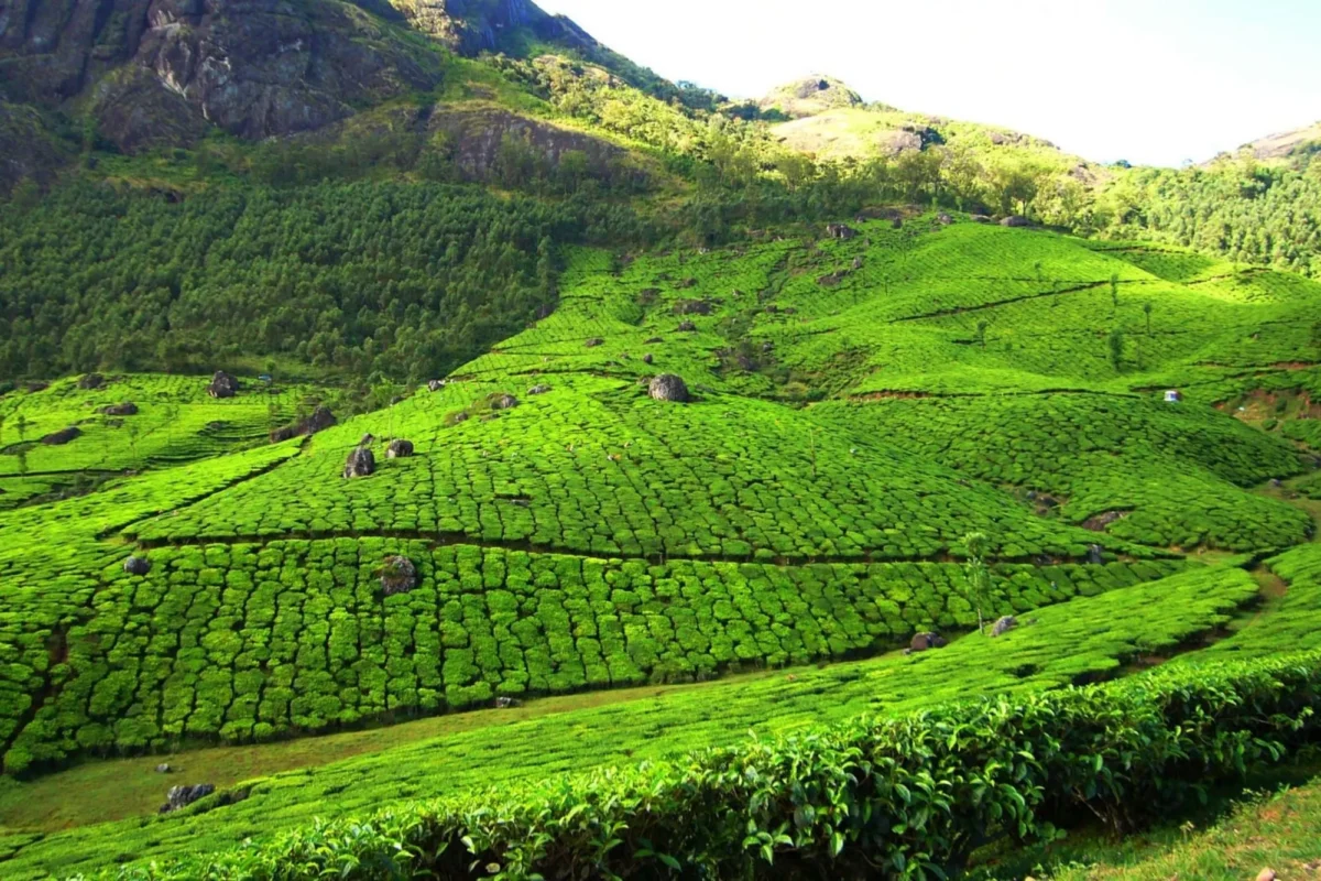 honeymoon destinations