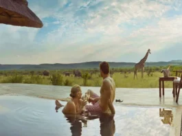 safari honeymoon destination