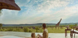 7 Best Safari Honeymoon Destinations In the World safari honeymoon destination