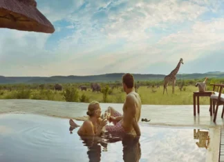 7 Best Safari Honeymoon Destinations In the World safari honeymoon destination