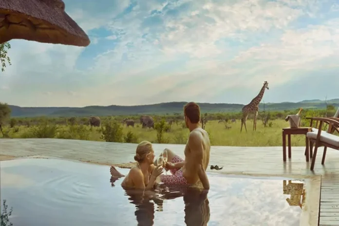 safari honeymoon destination