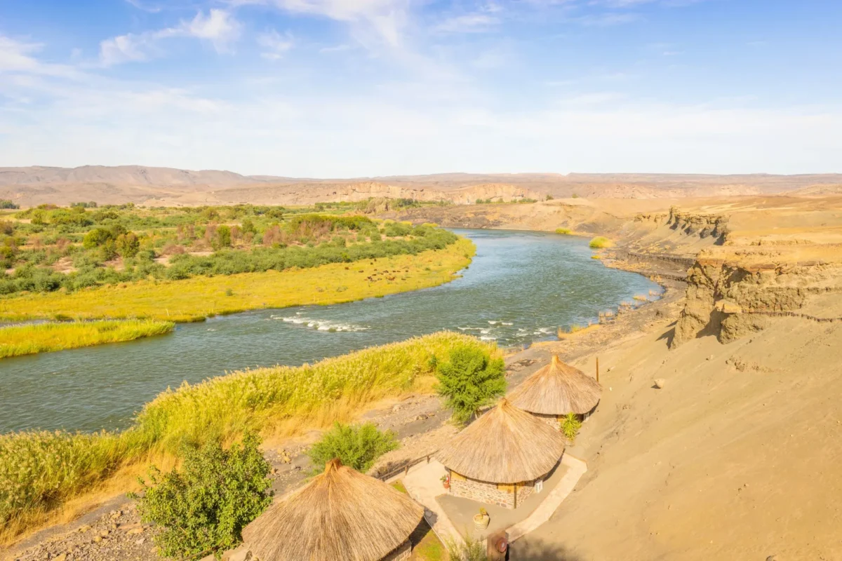 safari honeymoon destination