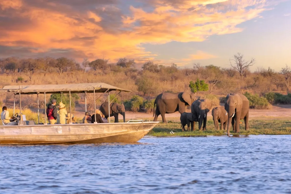 safari honeymoon destination