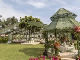 Latest Wedding Decor Trend: 7 Shades of Green in Decoration Wedding decor