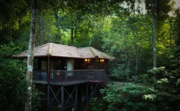 5 Forest Stays in India for Nature Lovers Seeking the Wild Forest Stays