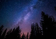 6 Remote Hotels for Stargazing Getaways Around the World Hotels around the world